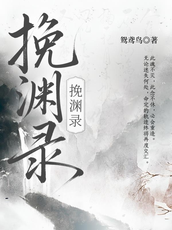 挽渊录